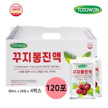 강원식품 꾸지뽕진액 4박스(120포), 120개, 80ml