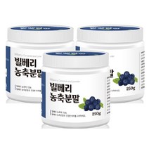 빌베리가루 오스트리아산 빌베리 농축액 분말 야생블루베리 안토시아닌 아라비아검 효능 250g 3통