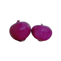 야채왕 적양파 자색양파 1kg