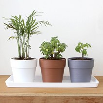 화담 토분 플리츠화분 토분화분 분갈이화분, 1호 그레이