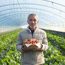 13월의농장 고당도 프리미엄 생딸기 산지직송 당일배송 GAP인증 900g 1.8kg, 900g(실속) x 1박스, 1개