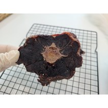 냠냐미 캥거루꼬리 무방부제수제간식, 1팩(100g), 1팩(100g)