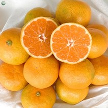 제철 감귤 / 제주도 하우스 감귤 / 소과 중과 1.5kg 2.5kg 4.5kg 8kg, 1개