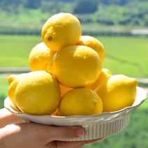 강가네 상큼한 초이스 레몬 알뜰형 대과(120g), 대과 20개입, 1개