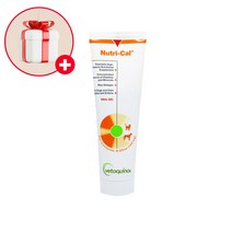 베토퀴놀 강아지 고양이 비타민&미네랄 뉴트리칼영양제 120.5g, 단품, 단품