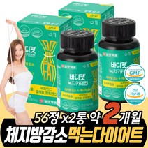 단기다이어트 해야할때 녹차카테킨 체지방감소 EGCG 식약처인증 건강기능식품 알로에전잎 그린티 추출물 콜레스테롤 낮추는 식품 항산화 셀레늄 비타민C 판토텐산 레몬밤 보이차