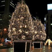 600구 성탄절 교회 야외 장식 나무조명 줄전구 앵두전구 점멸 어린이집 감성 나무트리 램프 카페 용품 조경 건물 행사 오너먼트 눈에띄는 텐트꾸미기 추리 인테리어 트리나무