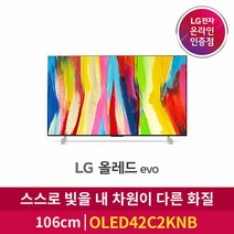 LG전자 4K UHD 올레드 Flex TV, 105cm, 방문설치, 스탠드형, 42LX3QKNA