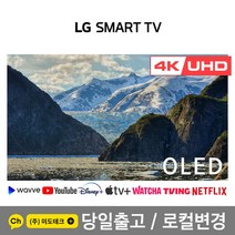 LG 55인치 4K 올레드 스마트 UHD TV OLED55CX 울트라HD, 4. 지방권역 벽걸이 +상하브라켓