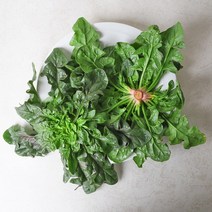 [산지직송] 이영석님의 신안 비금도 섬초시금치 2kg, 1개, 상세설명 참조