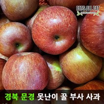 이츠올릿 경북 문경 못난이 부사 꿀 사과 10kg 가정용 흠집 청송 장수 밀양 얼음골, 가정용 못난이 부사 10kg (26-30과)