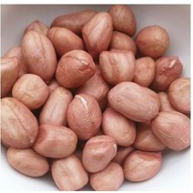 SAMARA 대양 생땅콩 알땅콩 작은알 5KG 1개 포장변경될수있음