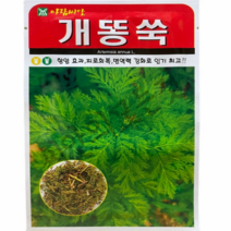 개똥쑥씨앗20000립 토종개똥쑥 재래종 한국산 항암효과 피로회복 면역력강화 아람종묘