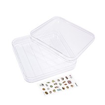 스퀘어디쉬 멸균 페트리 접시 투명 사각 샬레 실험용 square dish, 1팩(10개입)＋스티커증정