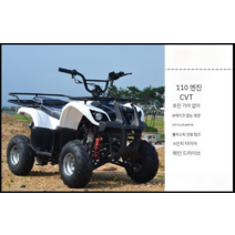 4륜 오토바이 바이크 산악용 농업용 오프로드바이크, 자동 변속기 황소