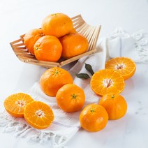 제주 레드향 5kg 10kg 3kg 가정용 선물용 세트, 레드향 가정용 3kg