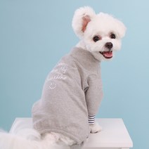 쁘띠도그 마이선샤인올인원, 그레이