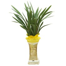 산천보세24 ej1 동양란 승진화분 축하 취임 영전 선물