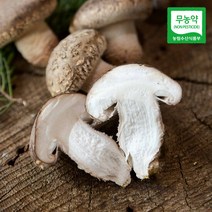 [생산자직송] 초정 무농약 송화고버섯 1kg(혼합), 단품