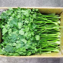 야채24닷컴 이태리 이탈리안 파슬리 파세리 향나물 2kg, 1개