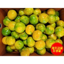 제주하우스감귤 조생귤 1.5KG 2.5KG 5KG 10KG, 만보네 5KG