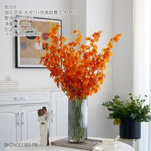 북유럽 유리 꽃병 투명 수분 키우기 이제 워터프루프 꽃 꽃꽂이 장 아이디어 브롯치 원석브로치 옷핀브로치 진주브로치 패션브로치, 05.꽃병 콤비 4