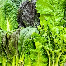 농가살리기 모듬채소 쌈용 샐러드용 600g 1kg 2kg, 샐러드채소 1kg, 1개
