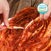 잘먹잘산 HACCP 까칠한박여사 갓 담근 맛있게 매운 김치 실비 김치, 2kg, 1개