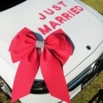 러브헌터 웨딩카 장식 세트 꾸미기 자체디자인 국내제작, 04 프린세스 리본 웨딩카장식 (대형/아젤리나레드)