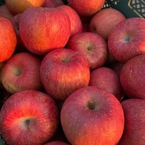 경북 사과 햇 부사 꼬마과 4.5kg(29-35과내)