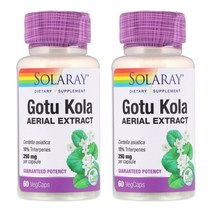 솔라레이 고투 콜라 병풀 추출물250mg 60베지캡슐 2개세트, 1개, 기본