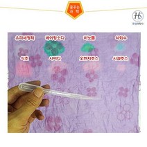 아트박스/오피스큐 자주색 양배추 손수건염색하기 5인용 x지시약포함