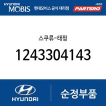 스쿠류-태핑 (1243304143) 투싼 트라제XG 에쿠스 E에어로타운 글로벌900 뉴 슈퍼 에어로 시티