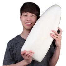새우몰 손질 대포한치 몸통살 1마리 2.5kg이상 물회 횟감용, 1개