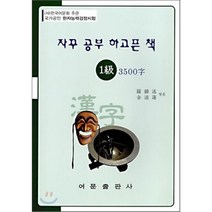 자꾸 공부 하고픈 책 한자능력검정시험 1급 3500자, 어문출판사