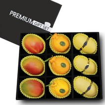 항공 애플망고 필리핀 카라바오 망고 애플3+망고3+한라봉3 (3kg내외) 프리미엄 과일 선물세트 선물가방포함