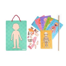 6살 유아 인체구조학습 종이자석퍼즐 아기자석교구 자석교구 집중력향상