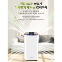 (국산) 디알텍 스카이퓨리 공기청정기 21평형 TKJ-520, 단품