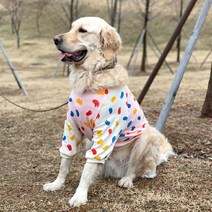 대형견옷 티셔츠 중형견옷 강아지봄옷 실내복 면티, 핑크