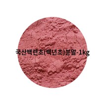 국산 백련초 백년초 분말 1kg 가루 파우더, 1개