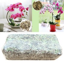 인조이끼 12l 정원 용품 물이끼 moss sphagnum 영양 어항 수조 화분 장식, 장미