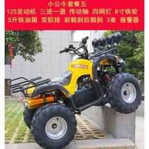 ATV 4륜 오프로드 가솔린 구동 산악 오토바이 산악 지형 자동 변속기 전기, 리틀불패키지5