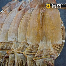 자연맛남 [자연맛남] 북강릉농협 동해안 마른오징어 당일바리 건오징어 5미(1미당75g내외), 1