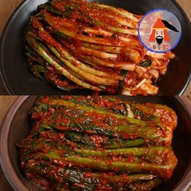 [황장군] 당일제조 여수 전라도 파김치 돌산 갓김치 1kg 2kg 3kg, 2kg 갓, 여수 돌산 갓김치