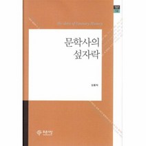 문학사의 섶자락 14 푸른 사상 평론선, 상품명