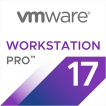 브이엠웨어 VMware Workstation 17 Pro 기업용 영구사용 V17, 단품