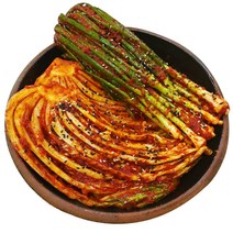 나의디미방 맛있게 매운 김치셋트 매운실비김치 + 매운 실비파김치, 김치 800g + 파김치 500g  맛있게 매운맛