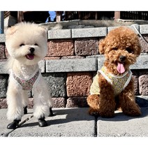 강아지옷 몸빼 나시 레트로 촌캉스룩 꽃무늬 메리야스, 핑크