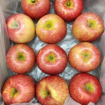 실속형 흠집 뉴질랜드 품종 엔비사과 3kg (사이즈랜덤)