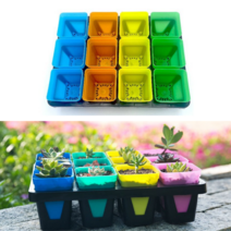 미니 컬러 다육이 선인장 미니 화분컵 12칸 화분받침대 세트